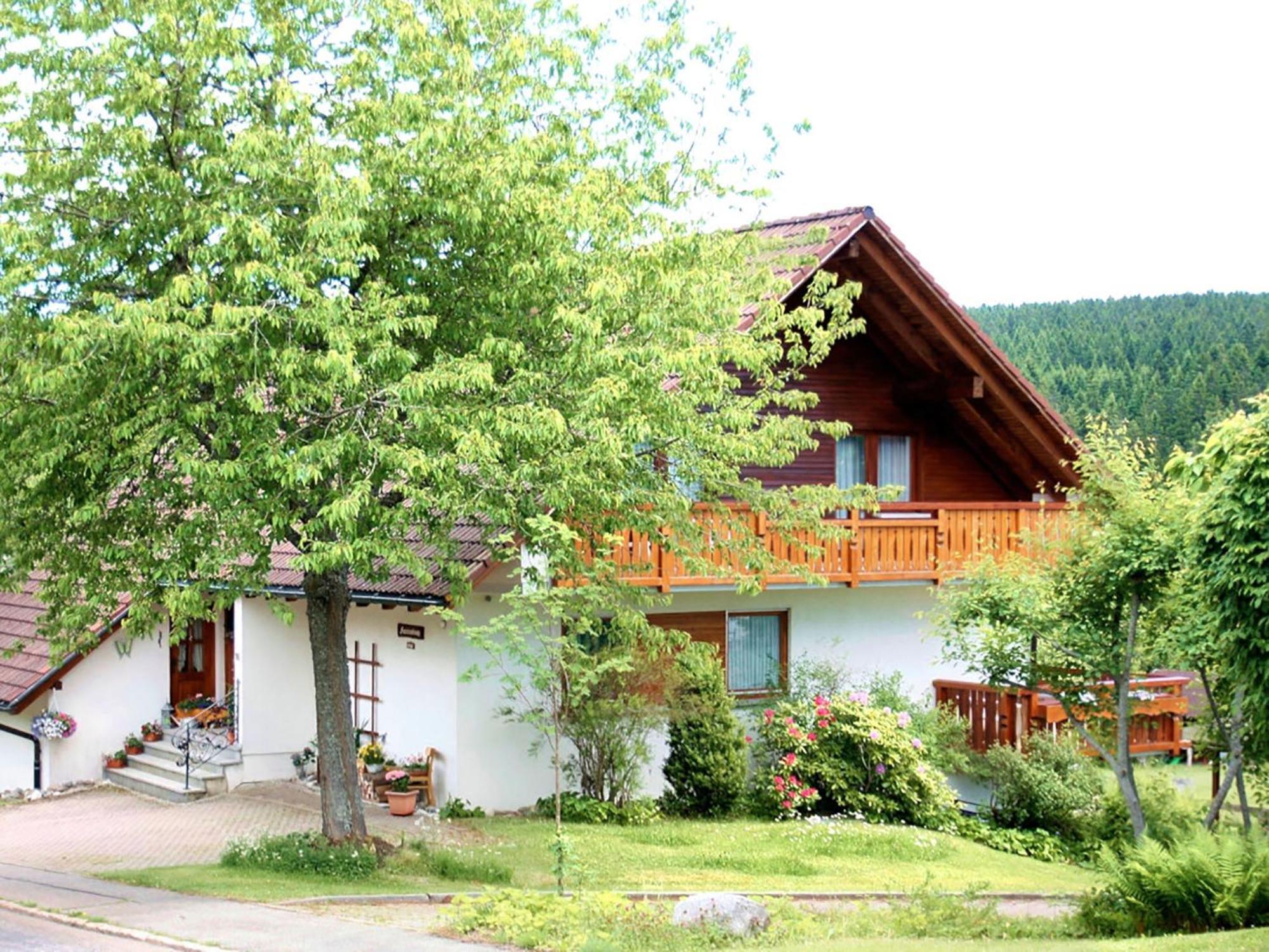 Haus Doerflinger Frau Marianne Apartment Schluchsee Ngoại thất bức ảnh